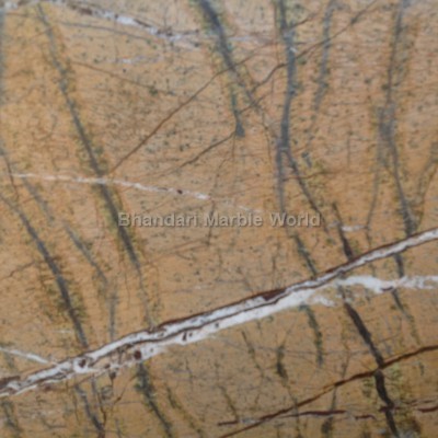 Rain forest gold grey marble