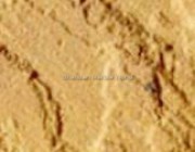 Lalipur Yellow Sand Stone